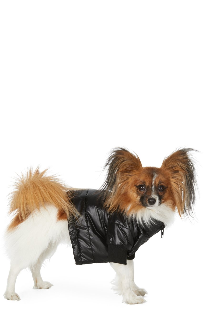 VIP - SSENSE Exclusive Black Puffer Jacket