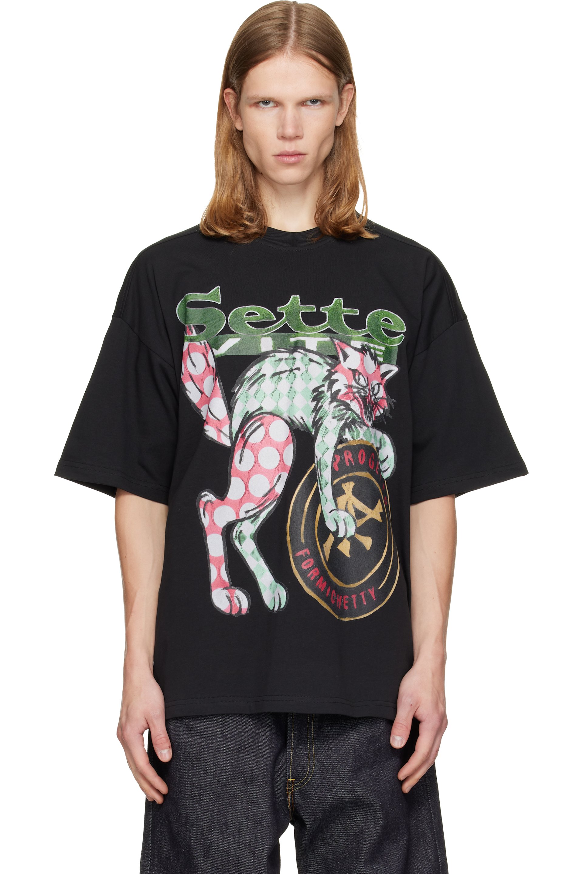 PDF - T-shirt The New Boy Seven Cat noir