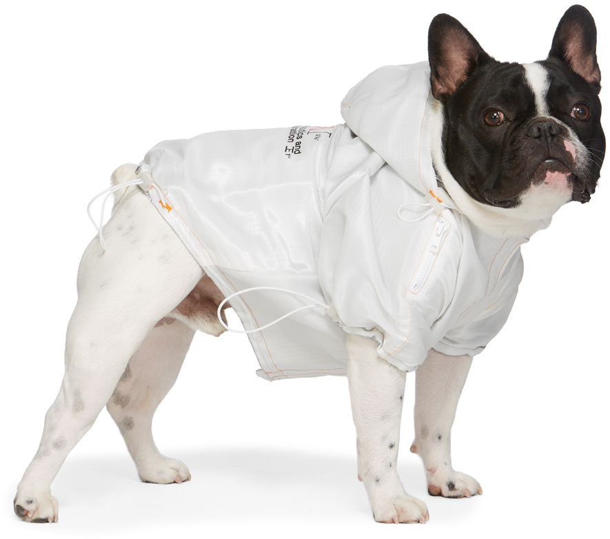 ugg dog sweater