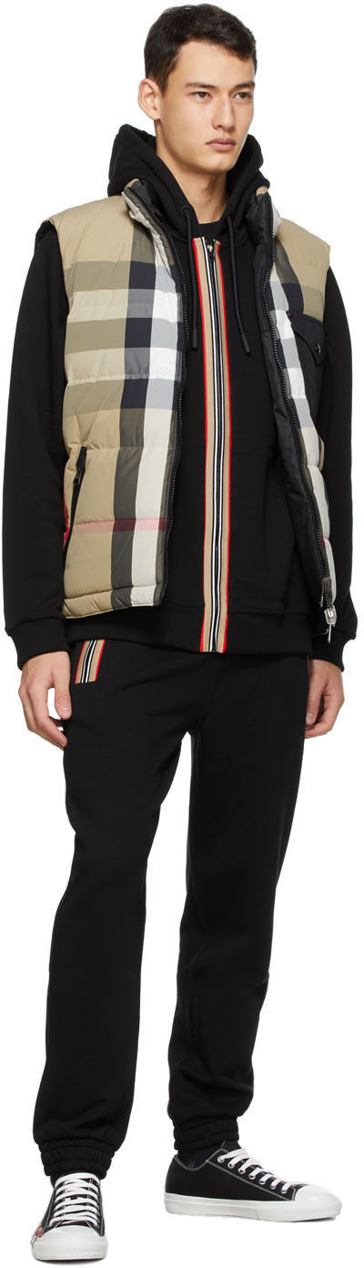 Icon Stripe ジップアップ フーディ