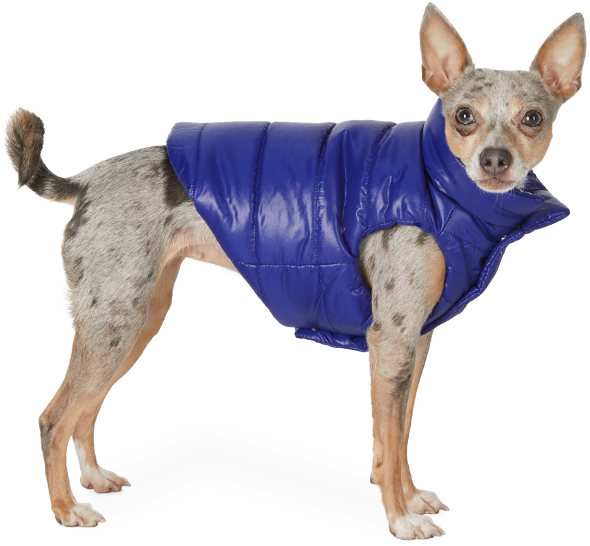 Blue Poldo Dog Couture Edition Mondog Jacket
