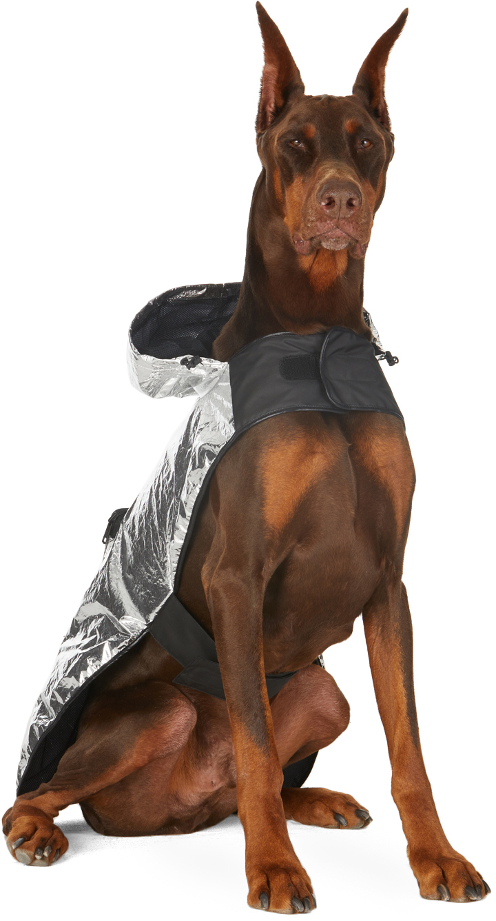Poldo Dog Couture エディション シルバー ラミネート Mondog クローク ジャケット