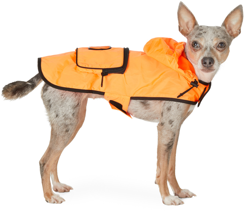 Moncler Genius Orange Poldo Dog Couture Edition Mondog Cloak Jacket In 32k Orange