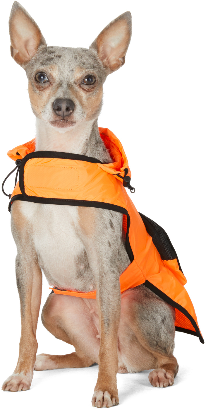 Moncler Genius Orange Poldo Dog Couture Edition Mondog Cloak Jacket In 32k Orange