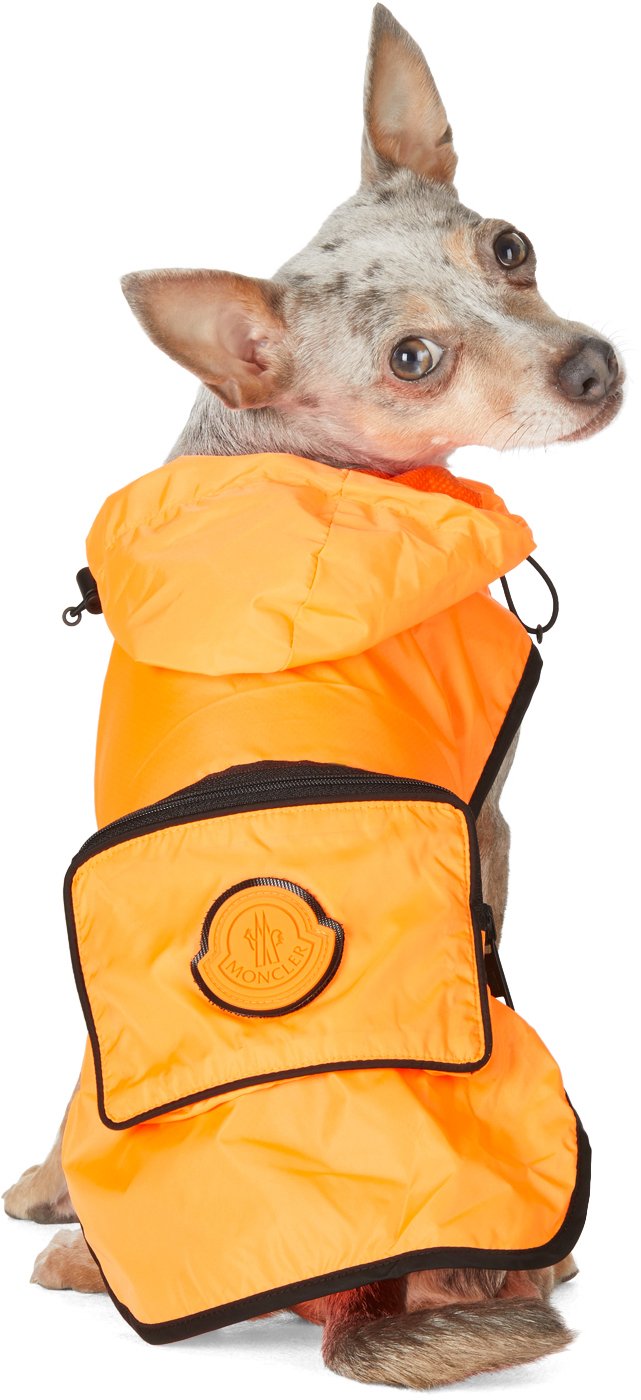 Moncler Genius Orange Poldo Dog Couture Edition Mondog Cloak Jacket In 32k Orange