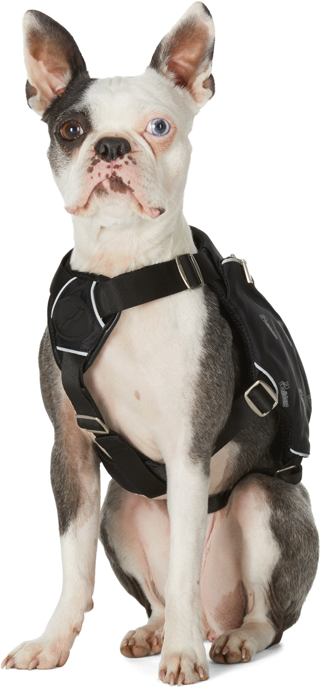 We11 Done Ssense Exclusive Black Logo Harness In Black