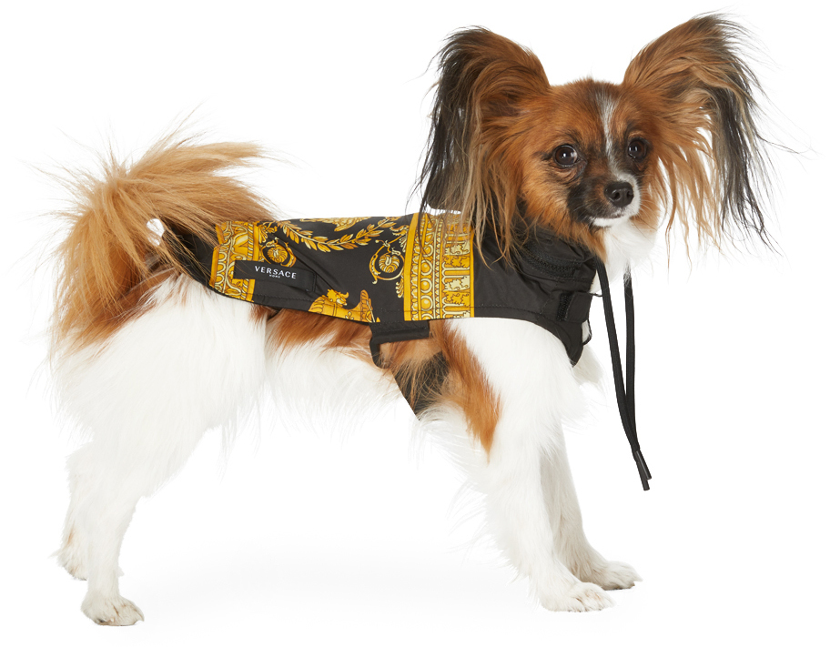 versace dog robe