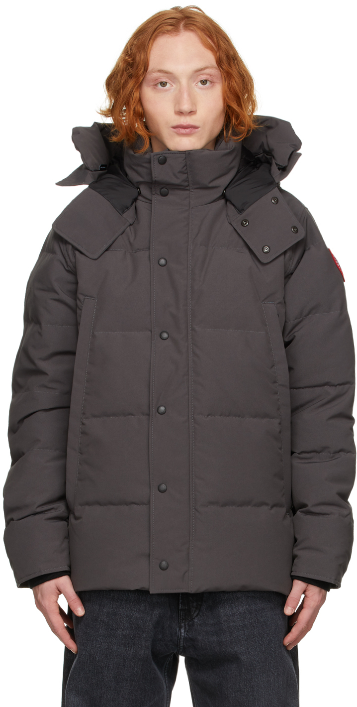 canada goose grise