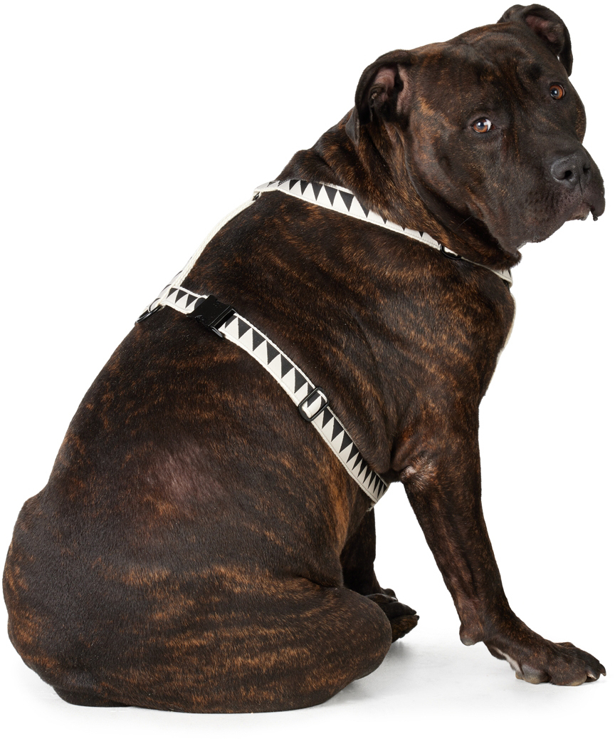 SEE SCOUT SLEEP OFF-WHITE & BLACK EXTRA LARGE NICE GRILL STANDARD HARNESS