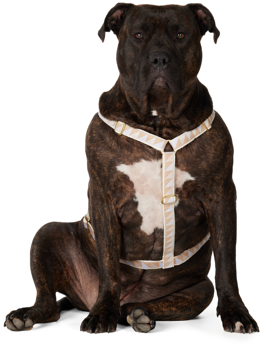 SEE SCOUT SLEEP BEIGE & BLUE EXTRA LARGE NICE GRILL STANDARD HARNESS