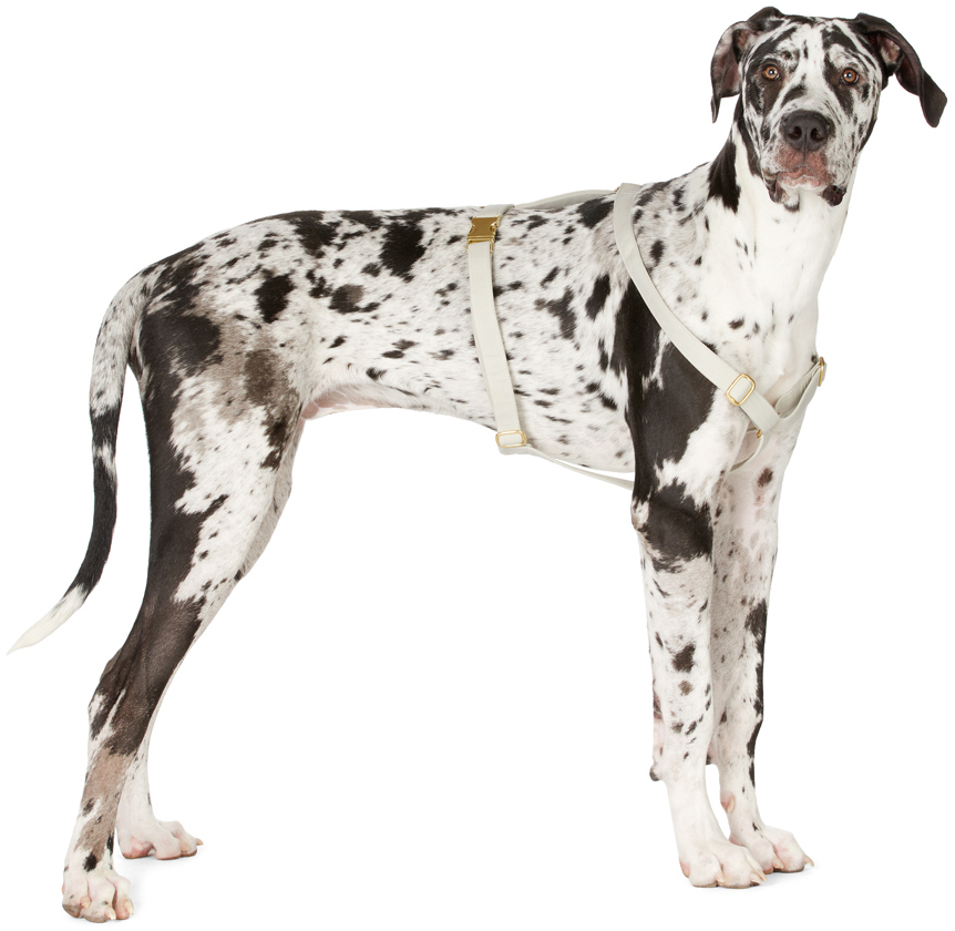 SEE SCOUT SLEEP GREY THE SCOT LARGE ORIGINAL HARNESS