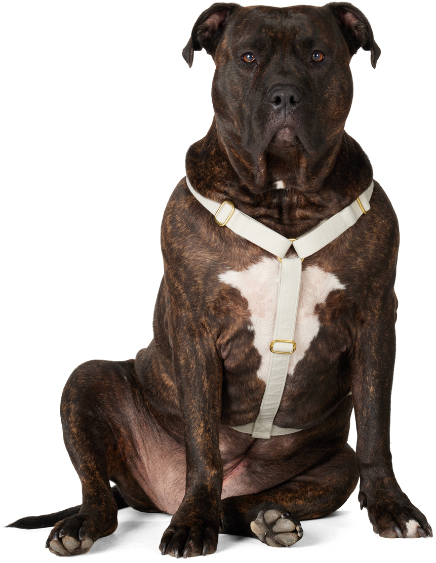 SEE SCOUT SLEEP GRAY THE SCOT EXTRA LARGE ORIGINAL HARNESS