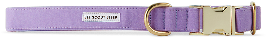 See Scout Sleep Purple The Scot Large Standard Dog Collar In Lilac