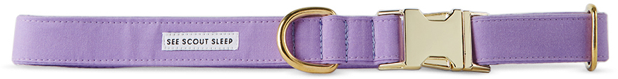 See Scout Sleep Purple The Scot Extra Large Standard Dog Collar In Lilac