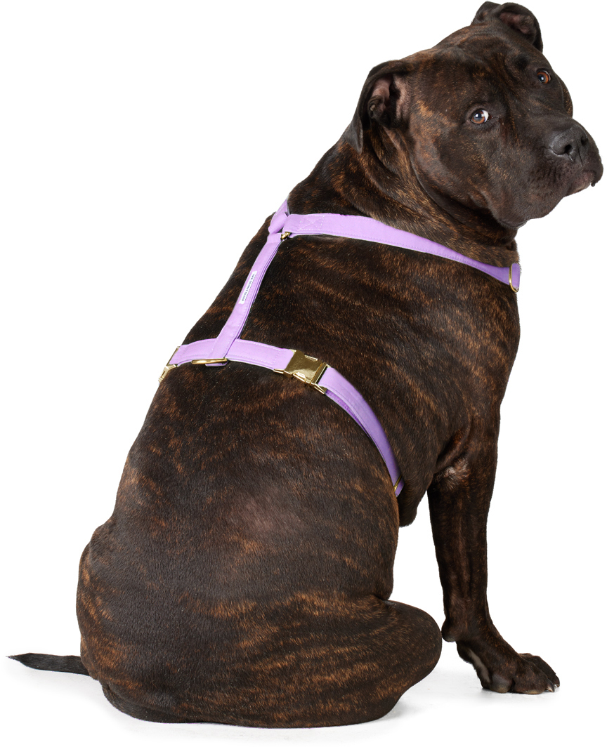 See Scout Sleep Purple The Scot Extra Large Original Harness In Lilac
