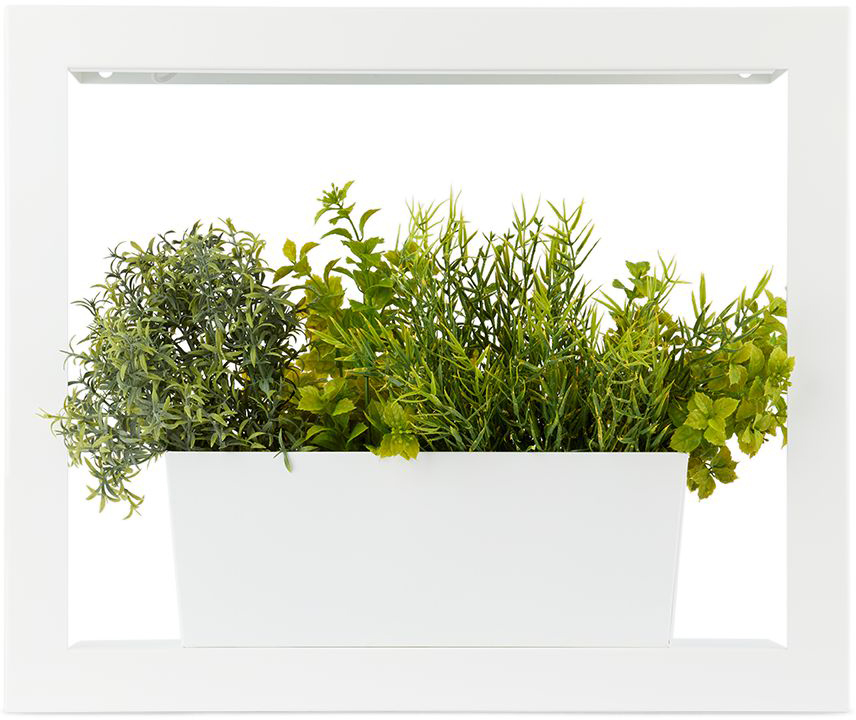 Modern Sprout White Smart Growhouse Planter In Matte White