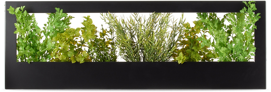 Modern Sprout Black Smart Landscape Growframe Planter In Matte Black