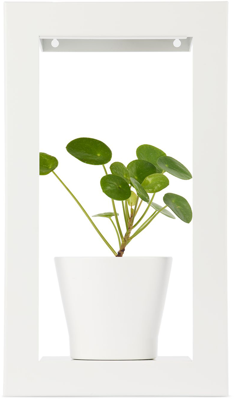 Modern Sprout White Portrait Growframe Planter In Matte White
