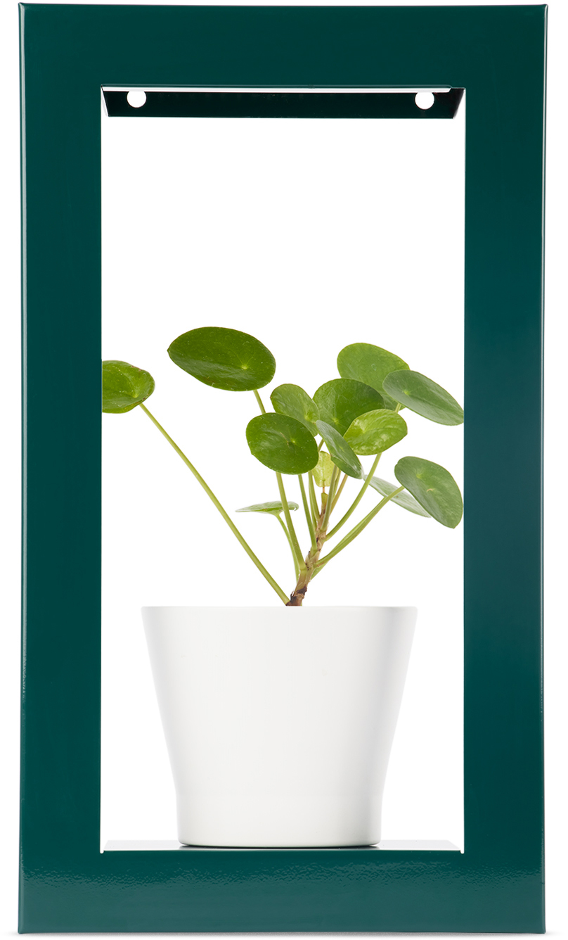 Modern Sprout Green Portrait Growframe Planter In Emerald