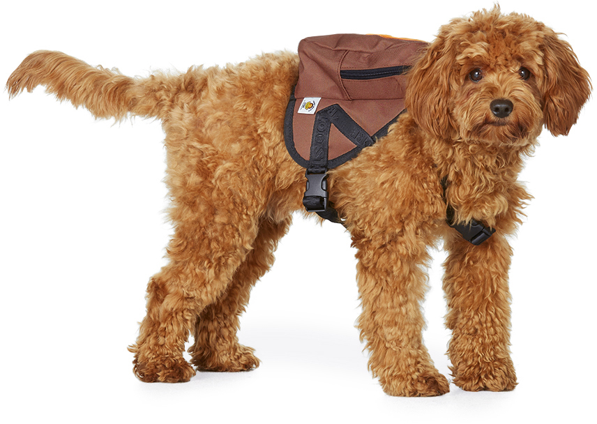 bape dog backpack