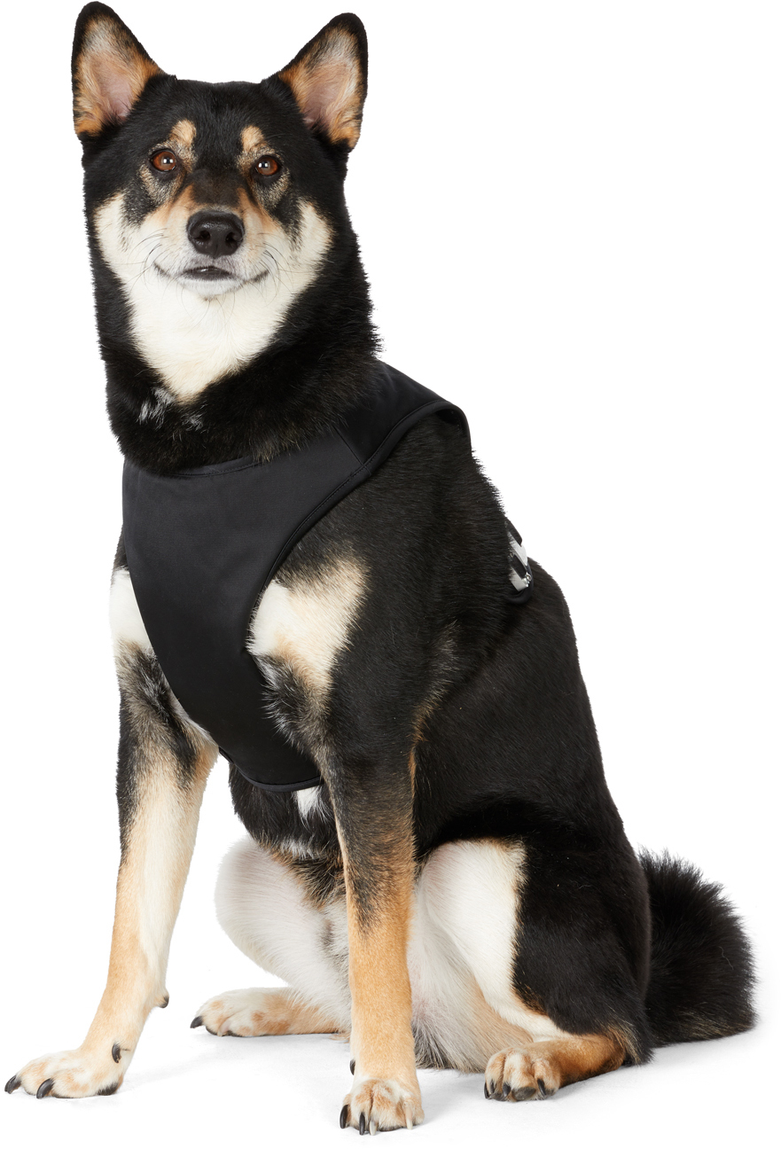 Moncler Genius 6 Moncler 1017 Alyx 9sm Black Poldo Dog Couture Edition Vest In 999 Black