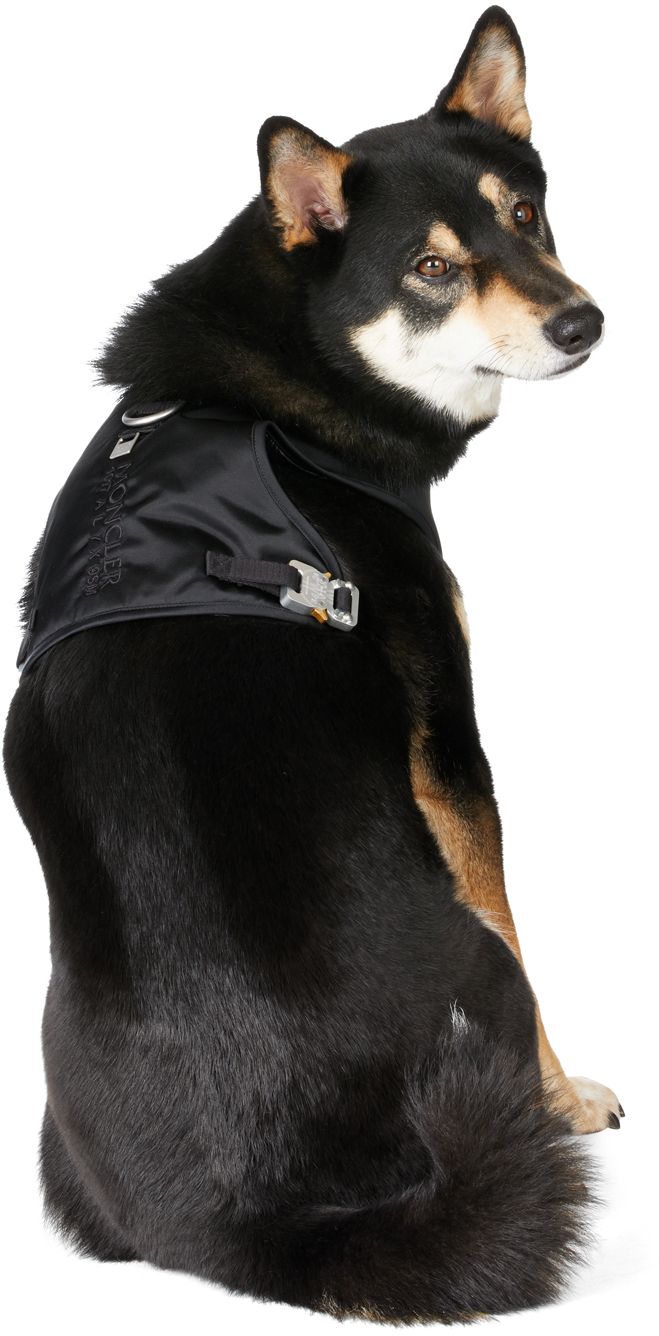 Moncler Genius 6 Moncler 1017 Alyx 9sm Black Poldo Dog Couture Edition Vest In 999 Black