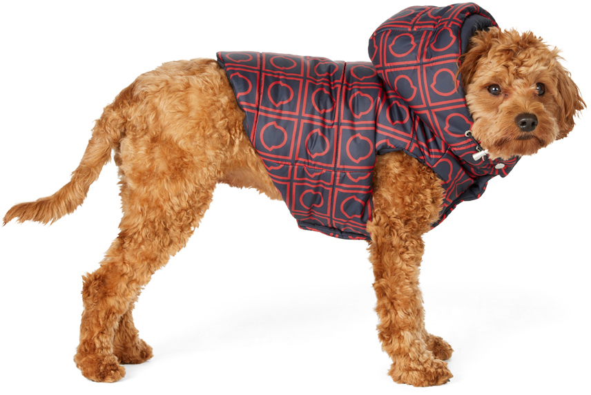 dog raincoat petbarn