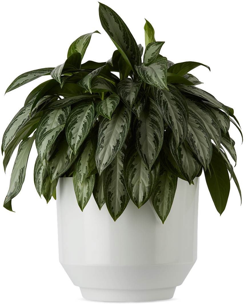 YIELD Spun Planter YIELD Spun Planter