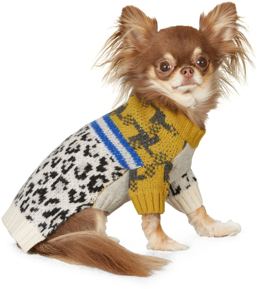 ware of the dog sweater