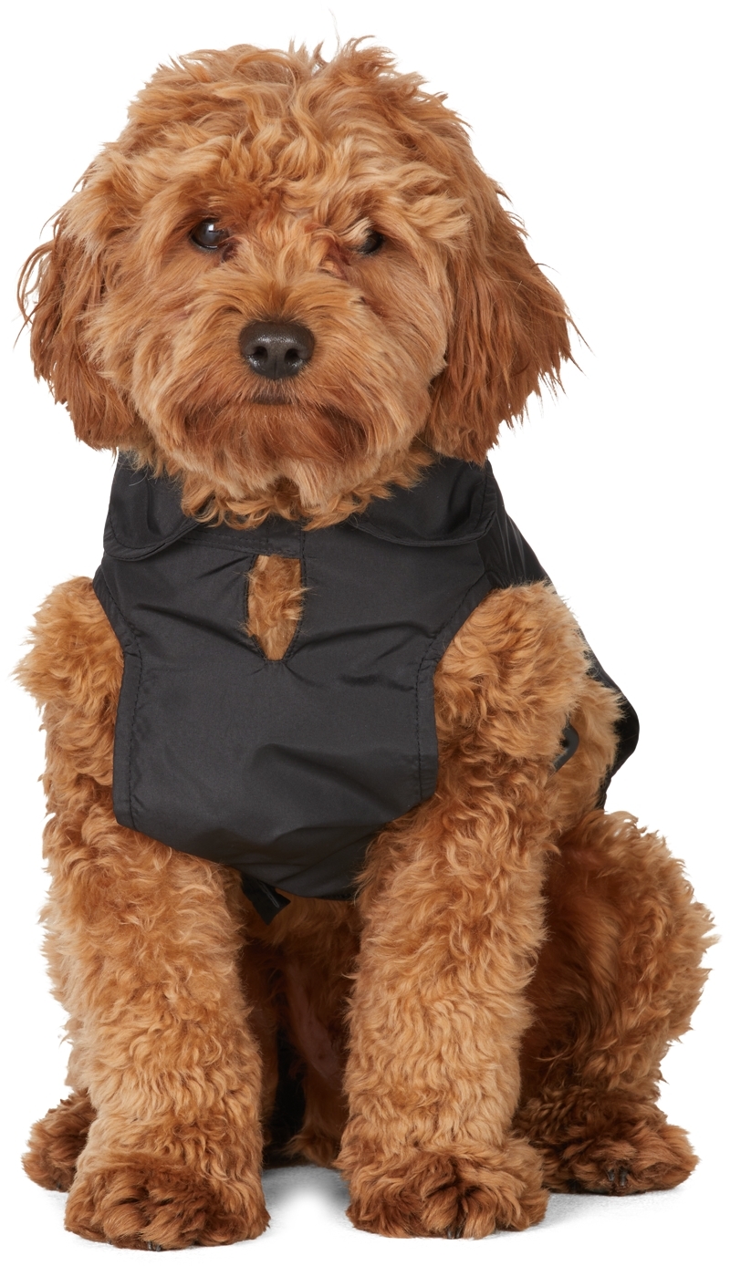 Versace Black Crystal Medusa Raincoat In Z1008 Nero