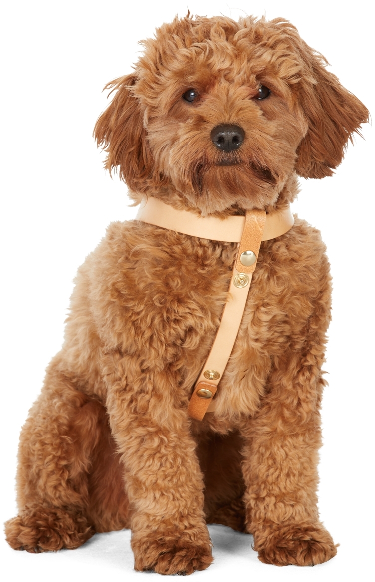 Shop Fantastical Creatures Club Tan One Click Harness In Naturale