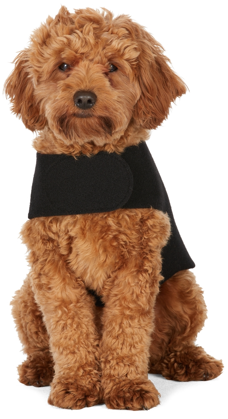 FANTASTICAL CREATURES CLUB BLACK WRAP UP JACKET HARNESS