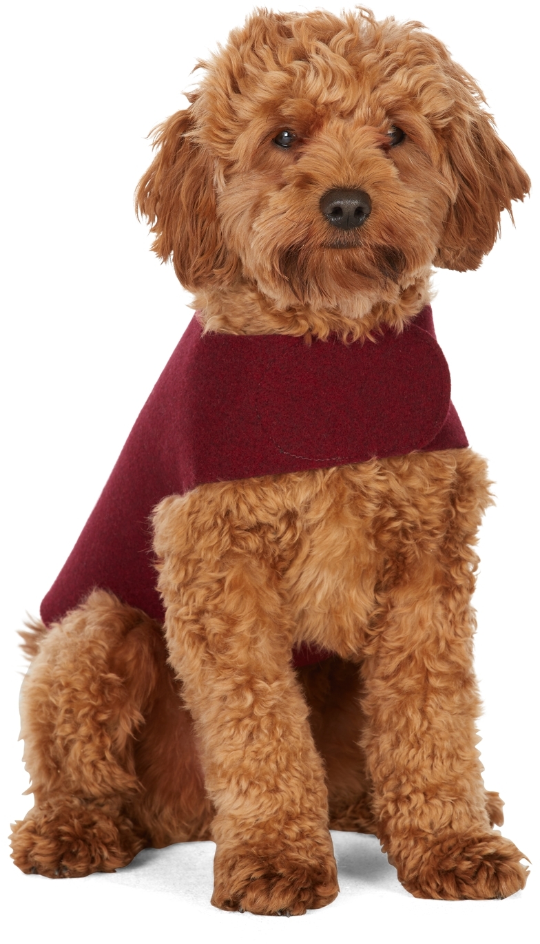 Fantastical Creatures Club Red Wrap Up Jacket Harness In Bordeaux