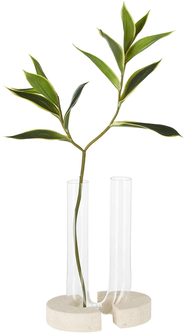 Coki Cochlea Del Risveglio Vase In Clear Glass