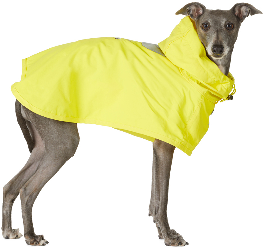 Merlot Yellow Ain Dog Coat In Lemon