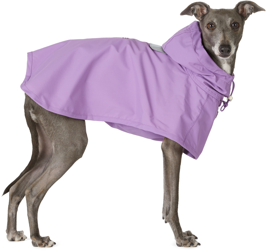 Merlot Purple Ain Dog Coat