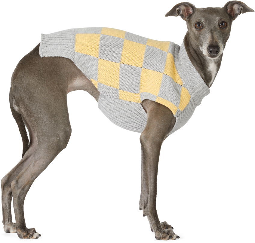 Merlot Yellow & Gray Bamboo Knit Sweater In Lemon Gray