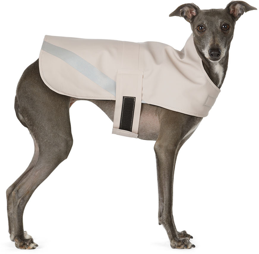stutterheim raincoat dog