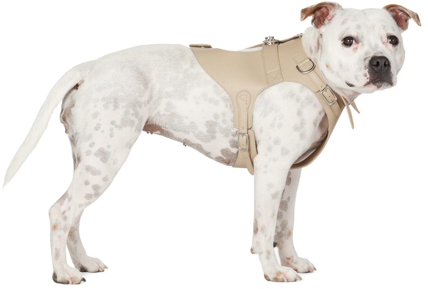 Pagerie Beige 'the Colombo' Dog Harness In Sand