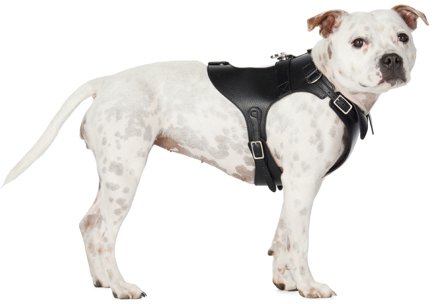 Pagerie Black 'the Colombo' Dog Harness In Noir