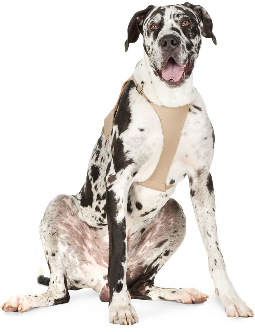 Pagerie Beige 'the Babbi' Harness In Sand
