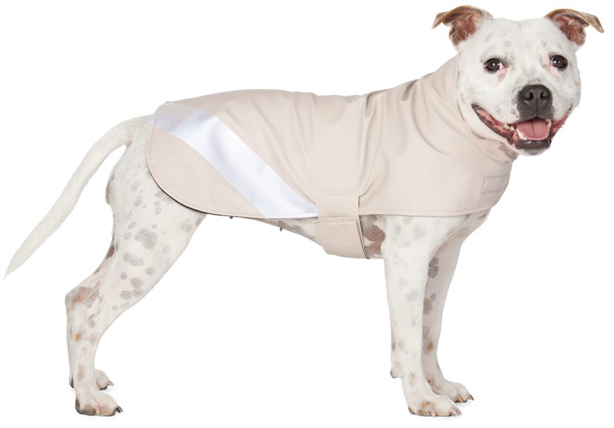 Stutterheim Ssense Exclusive Beige Dog Raincoat In Light Sand