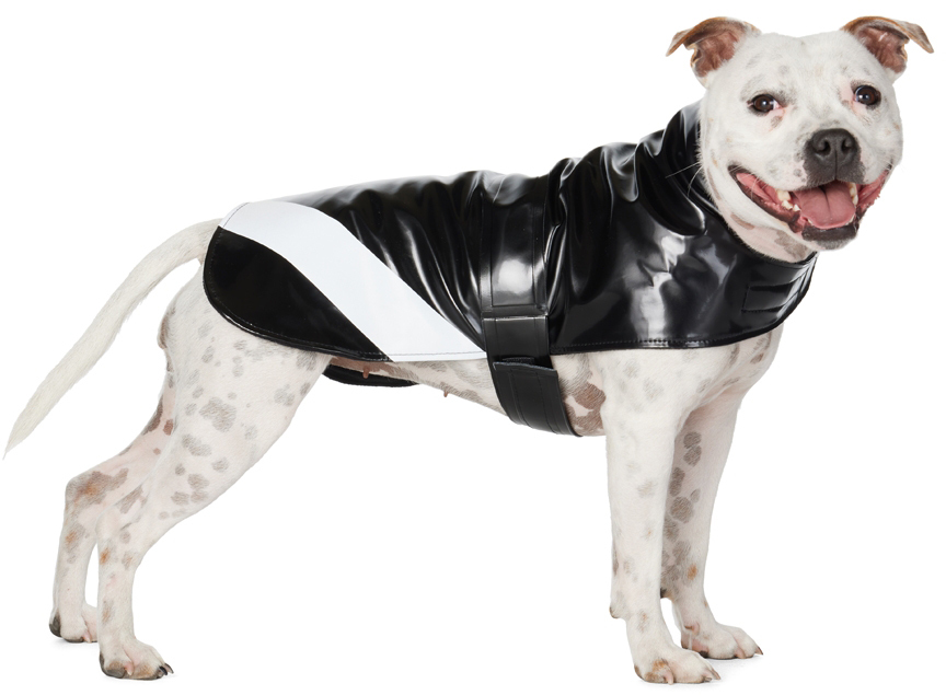 Stutterheim Ssense Exclusive Black Dog Raincoat In Opal Black