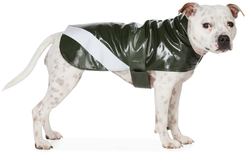 Stutterheim Ssense Exclusive Green Dog Raincoat In Opal Green