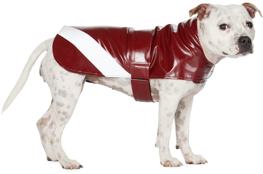 Stutterheim Ssense Exclusive Red Dog Raincoat In Opal Red