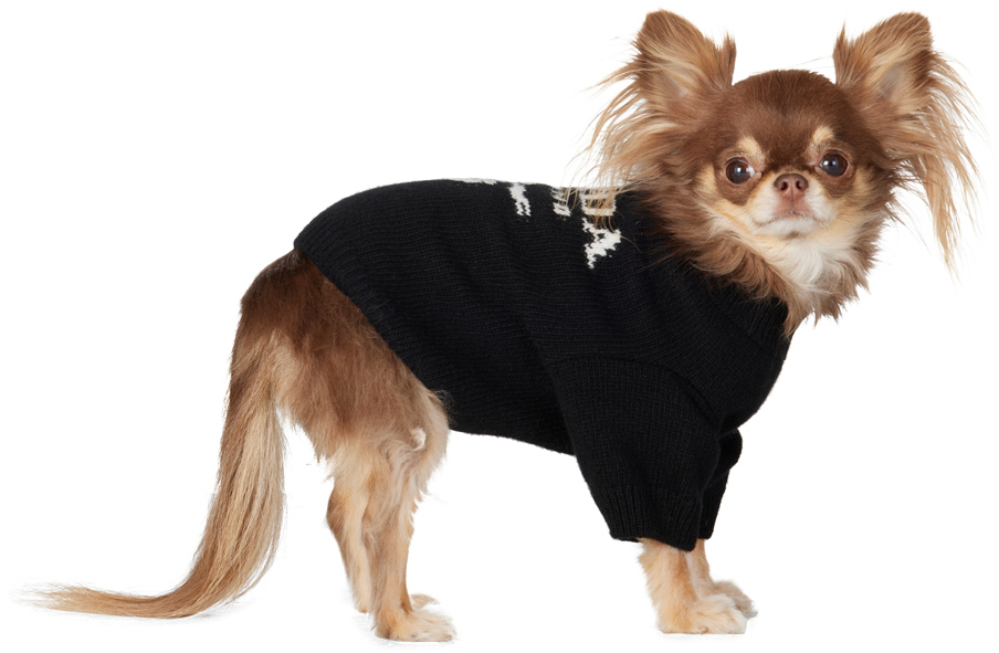 Black Virgin Wool & Cashmere Sweater by Prada | SSENSE Canada