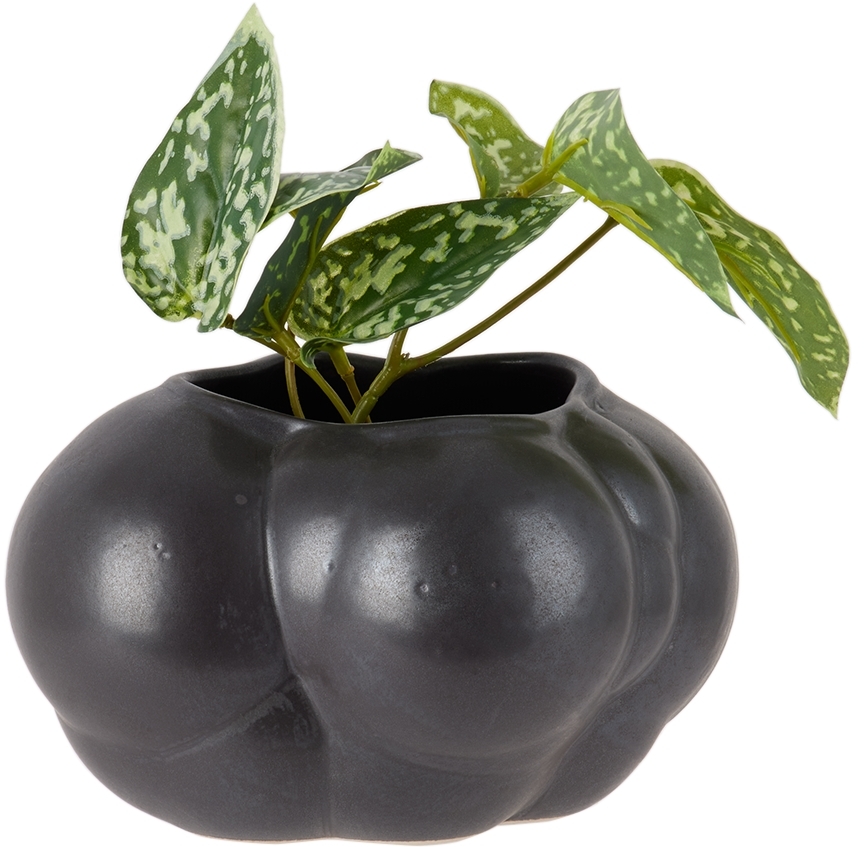 Forma Rosa Studio Gray Mini Botryoidal Planter In Charcoal