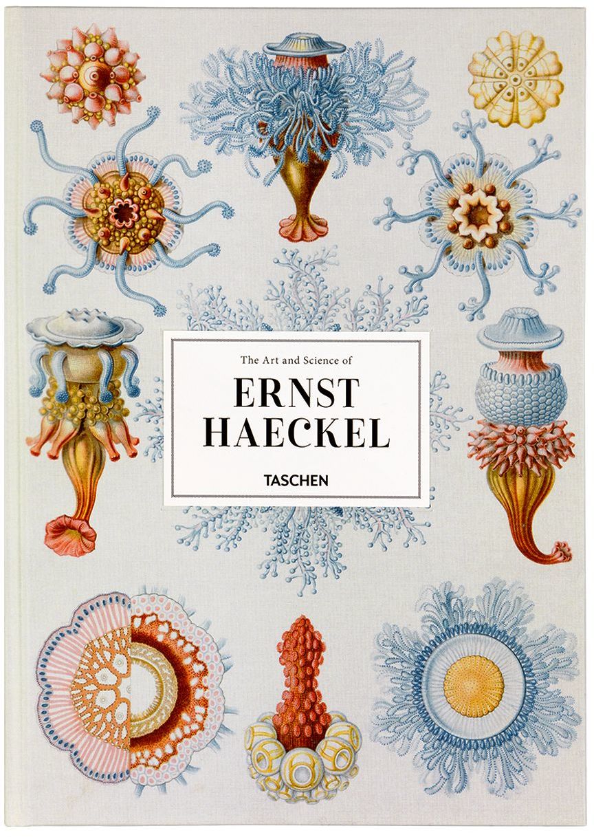 Taschen The Art And Science Of Ernst Haeckel, Xxl In N/a