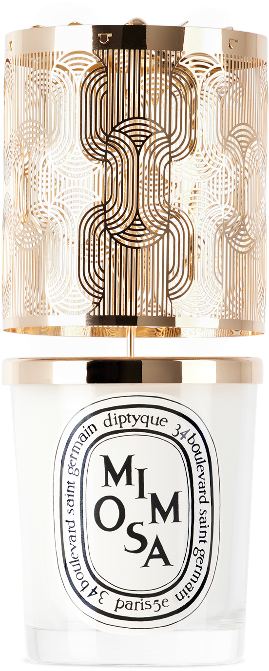 https://img.ssensemedia.com/images/232724M618015_1/diptyque-holiday-carousel-mimosa-scented-candle-set.jpg