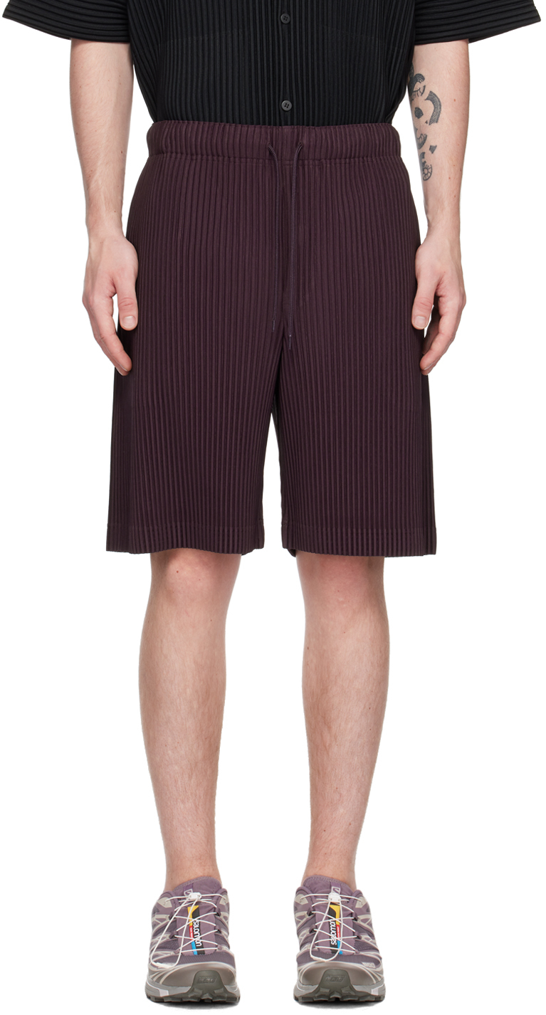 Purple Color Pleats Shorts